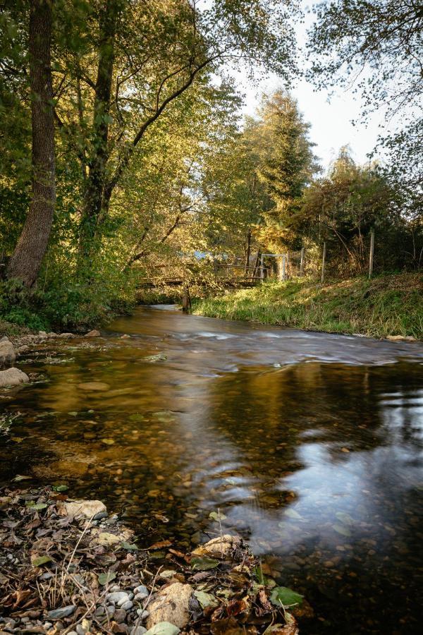 Villa Wypoczynek U Piotra à Susiec Extérieur photo